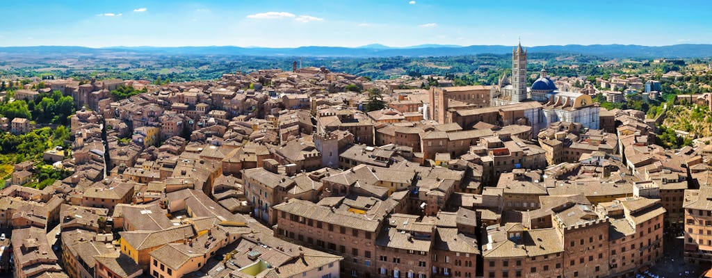 Dagtocht naar Pisa, Siena en San Gimignano met lunch