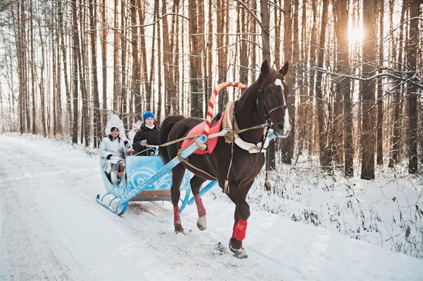Traditional Russian winter barbecue with horse-sledding