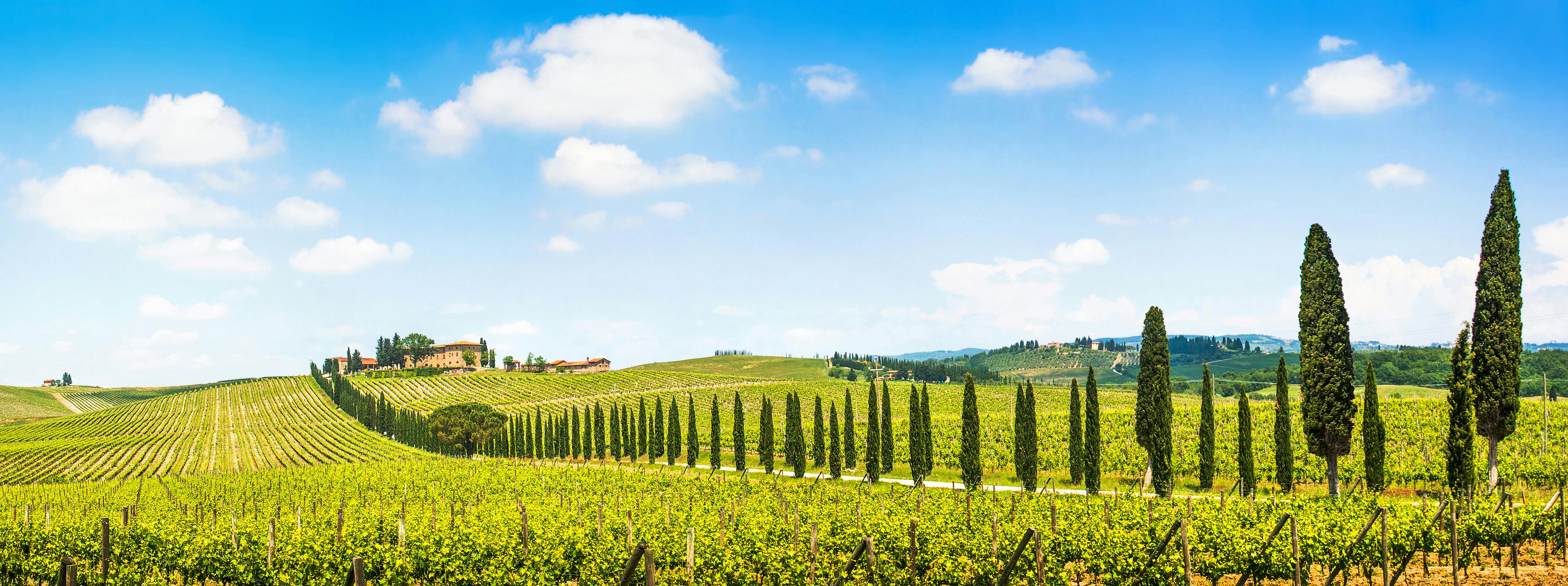 Tour del Chianti con due degustazioni di vini da Firenze