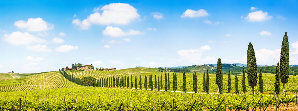 Chianti-Tour mit zwei Weinproben aus Florenz