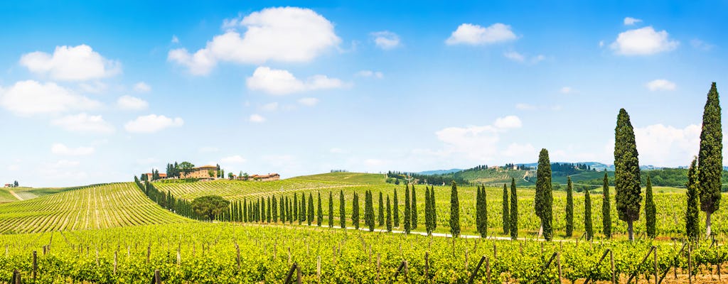Tour del Chianti con due degustazioni di vini da Firenze