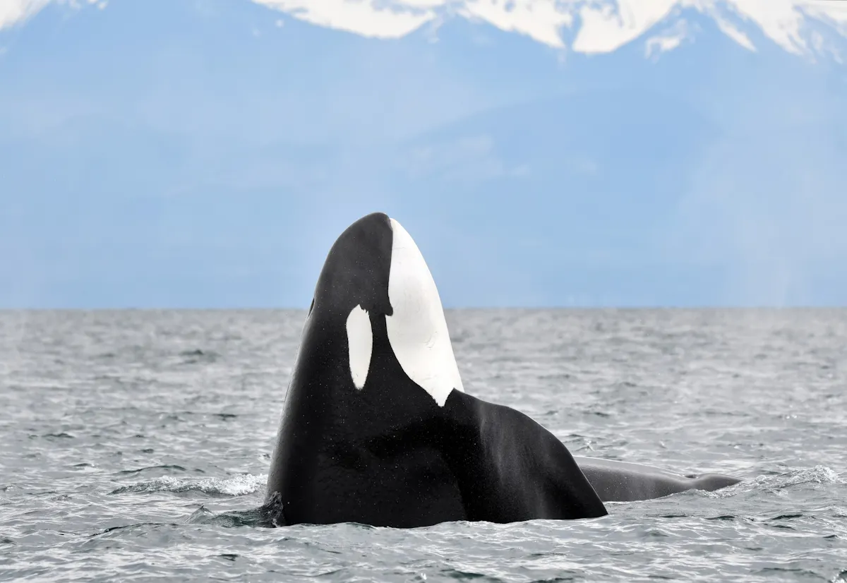 Photographer Brendon Bissonnette.jpg