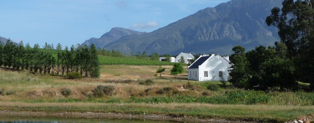 Kaapse wijnlanden tour van een halve dag vanuit Kaapstad
