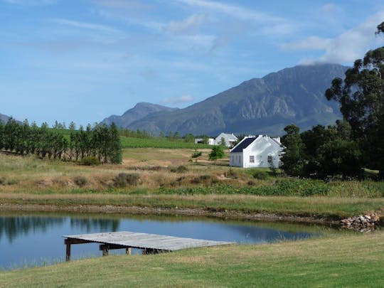 Tour di mezza giornata delle Cape Winelands da Cape Town