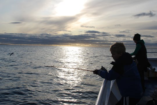 Gourmet sea angling in Reykjavík