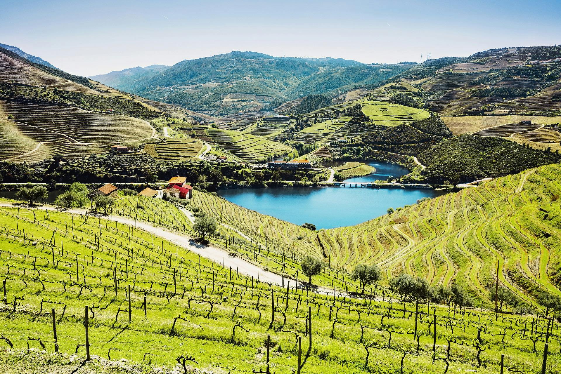 Wycieczka do Doliny Douro z Porto z dwiema winnicami i lunchem