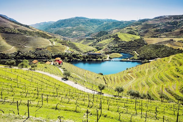 Visite de la vallée du Douro au départ de Porto avec deux établissements vinicoles et déjeuner