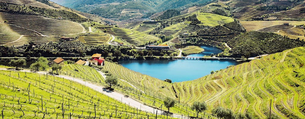 Visite de la vallée du Douro au départ de Porto avec deux établissements vinicoles et déjeuner