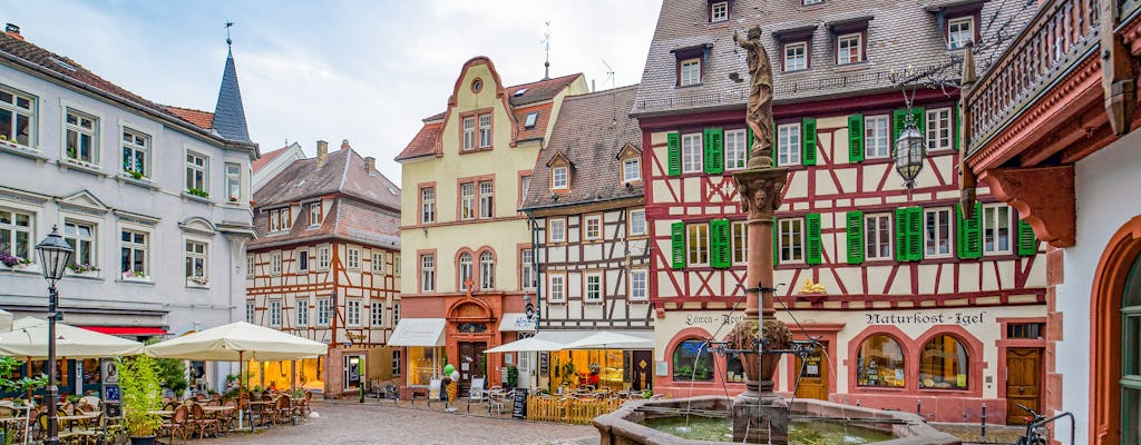 Giro in monopattino autobilanciato da Ladenburg a Weinheim