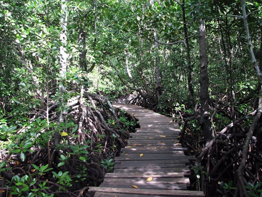 Jozani Chwaka Bay Nationaal Park & Kruidentour