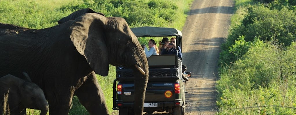 Hluhluwe Umfolozi game drive di 3 ore