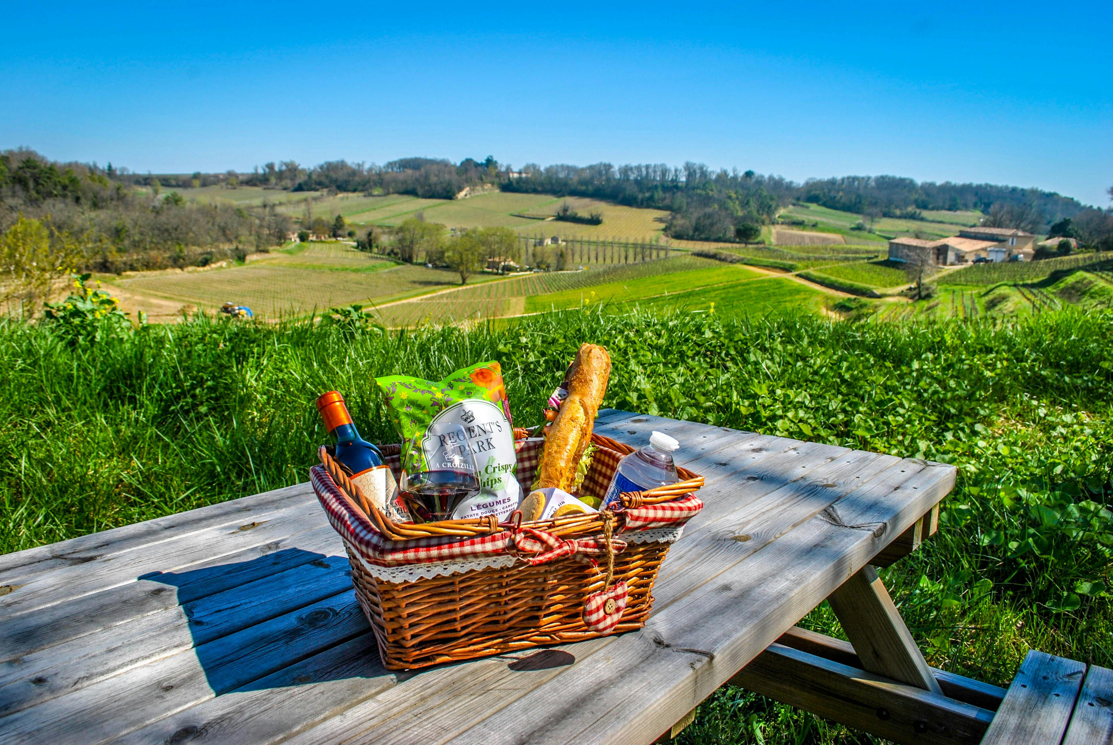 Visite et déjeuner avec vue panoramique sur les vignobles de Saint-Émilion