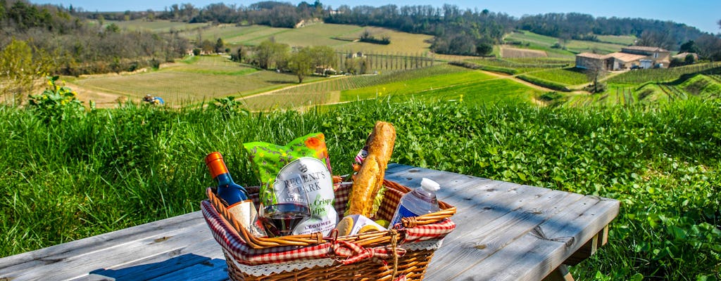 Visite et déjeuner avec vue panoramique sur les vignobles de Saint-Émilion