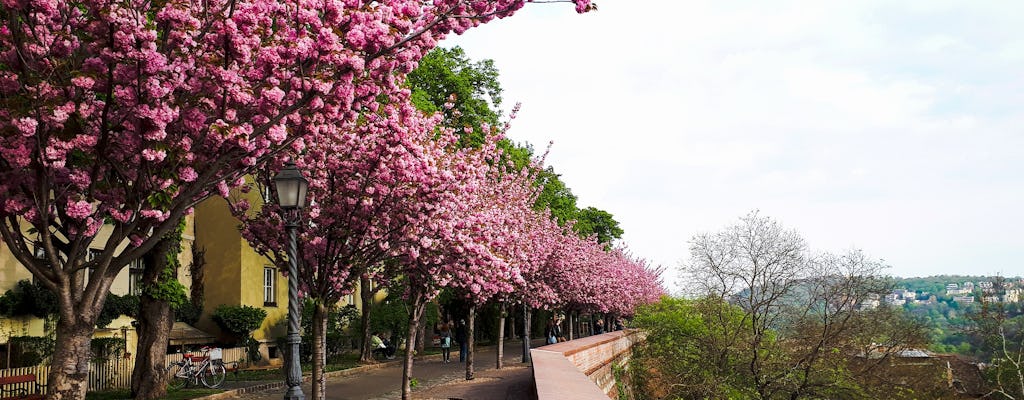 Self-guided Discovery Walk in Budapest's Castle Hill history and mysteries