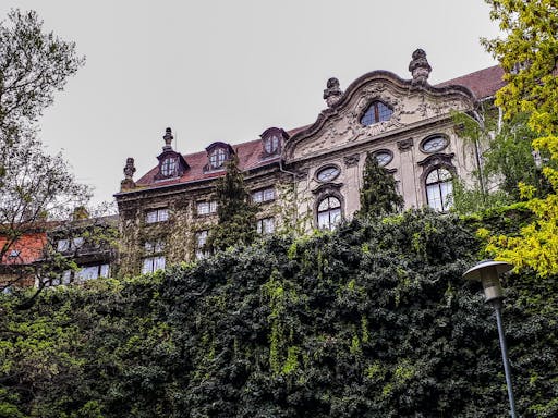 20190414_150803_edited.jpg