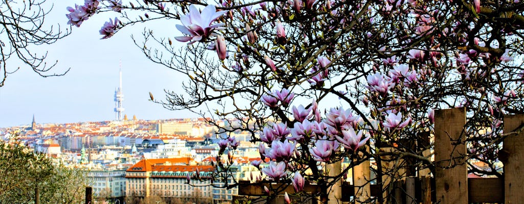 Self-guided discovery walk in Prague with breathtaking views and parks