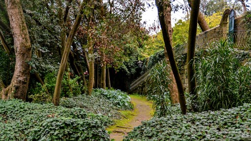 DSC_0665_edited.jpg