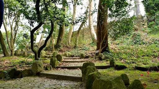 DSC_0711.jpg