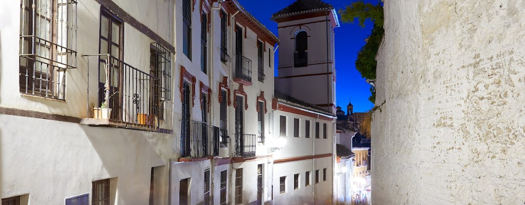 Tour privato a piedi dei misteri di Granada