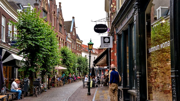Descoberta autoguiada Caminhe pelos segredos de Haarlem de suas ruas douradas