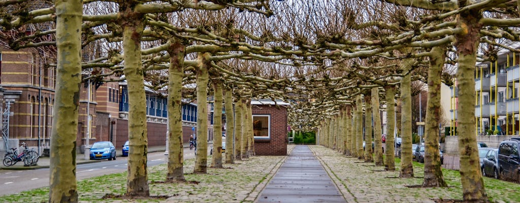 Caminhada de descoberta autoguiada nos segredos multiculturais do leste de Amsterdã
