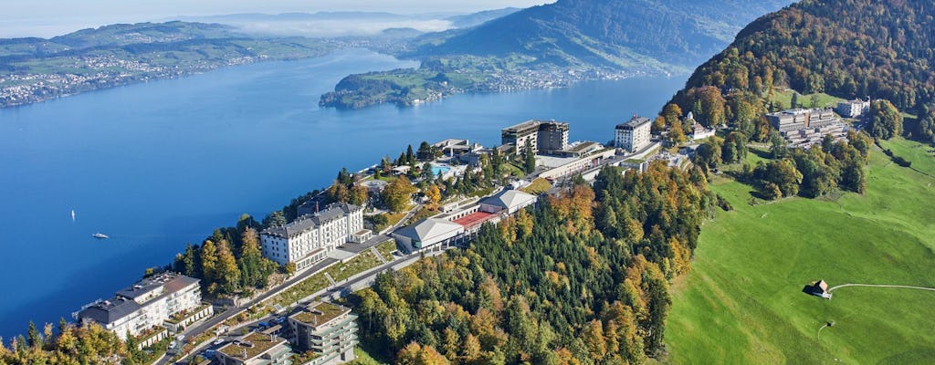 Excursion d'une journée à Lucerne et Bürgenstock depuis Zurich