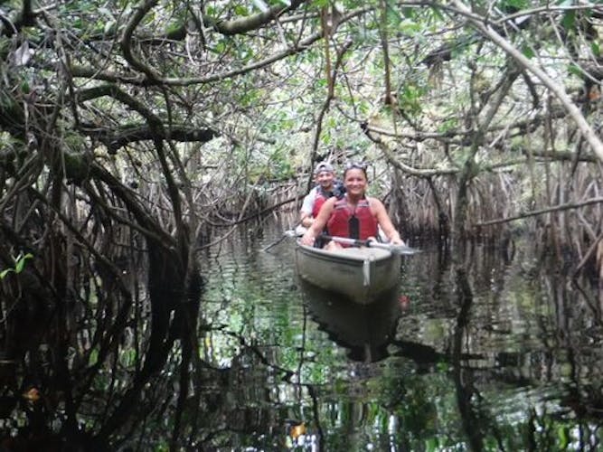 Everglades National Park mangrove tunnel kayak eco-tour