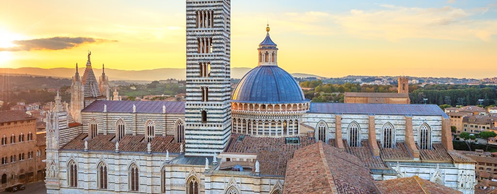 Excursion d'une journée à Pise, San Gimignano, Sienne et au Chianti avec déjeuner