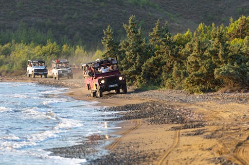 Sunset Safari