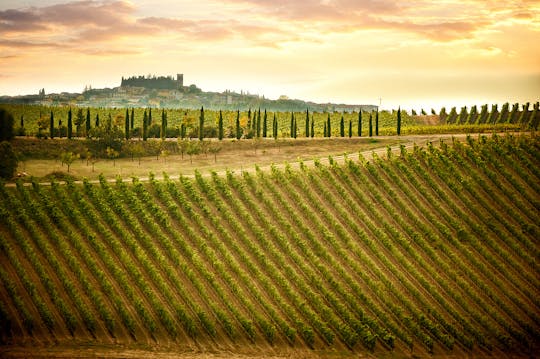 Tour privado de Chianti con cata de vinos desde Florencia