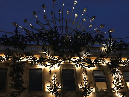 Route 3 to 4 PEACOCK EXTRA IMG_1451.jpg