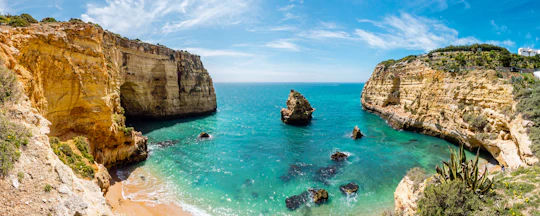Caves and Dolphin- Watching Aboard the Dreamer