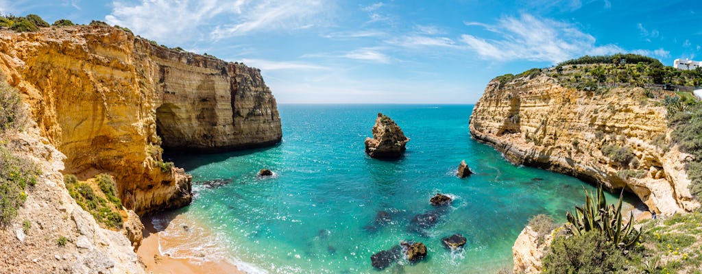 Cavernas e observação de golfinhos a bordo do Dreamer