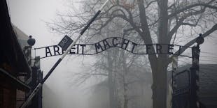 Auschwitz and Birkenau self-guided tour with transfer from Krakow