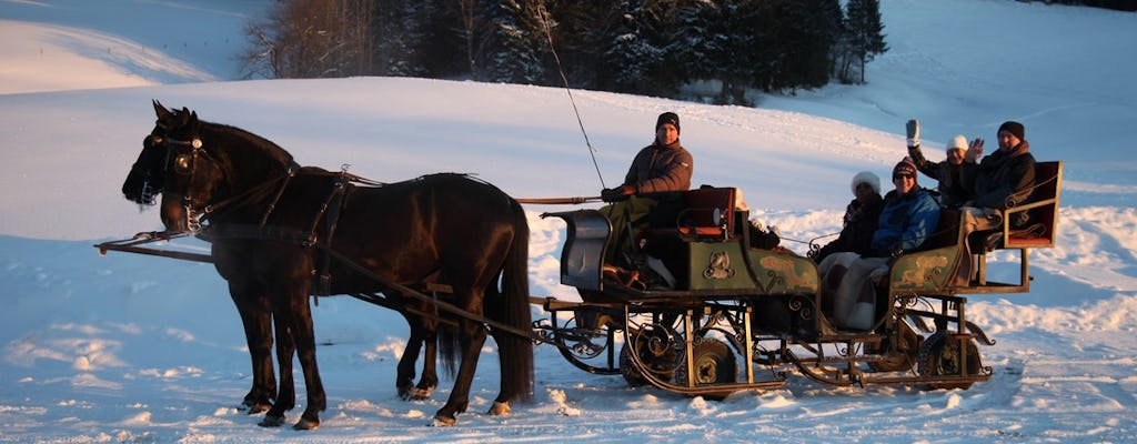 Viagem de um dia nos Alpes com passeio de trenó puxado a cavalo a partir de Salzburgo