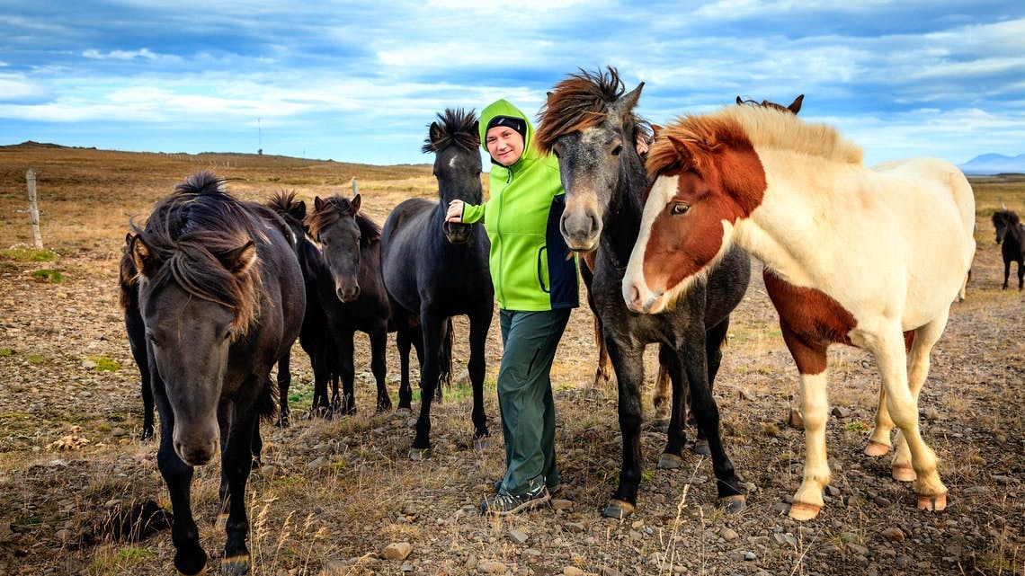 Golden Circle and horse riding tour