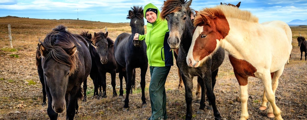 Golden Circle e passeio a cavalo