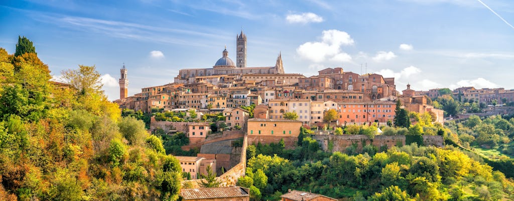 Tour in kleiner Gruppe durch Siena, San Gimignano und die toskanische Landschaft