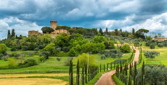 Tour und Verkostung von drei Weingütern im Chianti