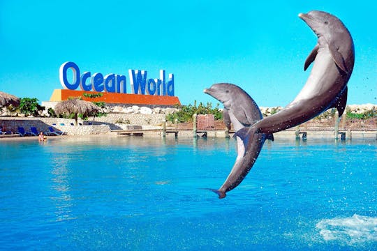 Ocean World w Puerto Plata