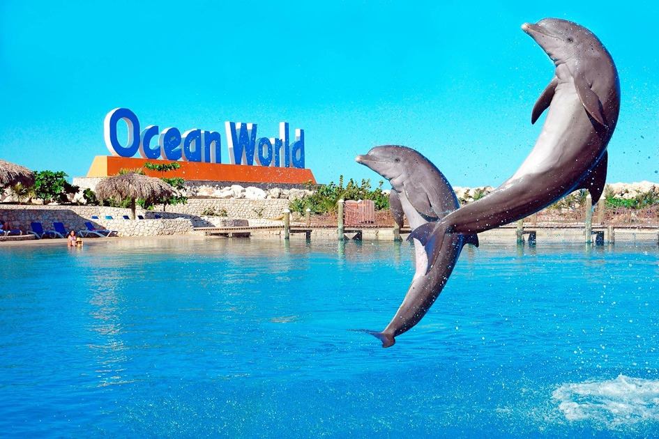 Ocean world. Доминикана тематический парк.