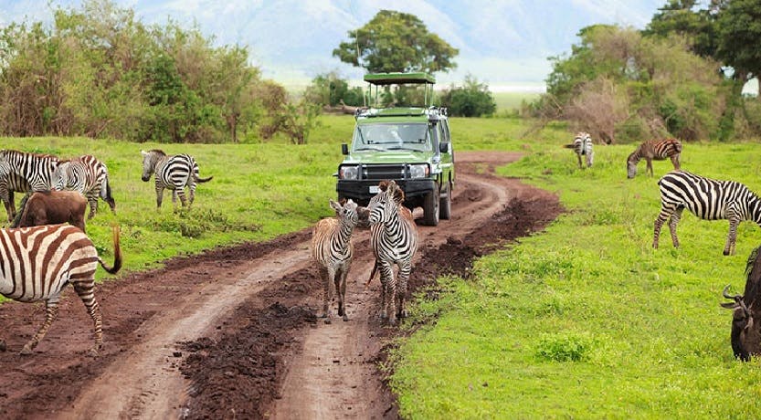 Excursão de um dia ao Parque Nacional de Arusha