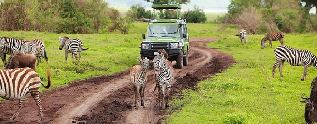 Excursion d'une journée au parc national d'Arusha