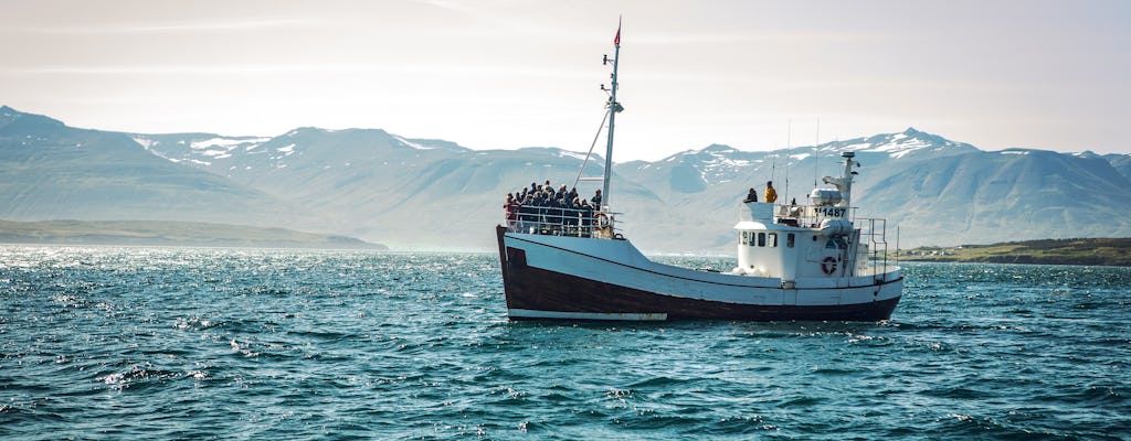 Excursão de observação de baleias em Reykjavik