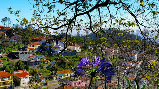 Paradise Valley Walk