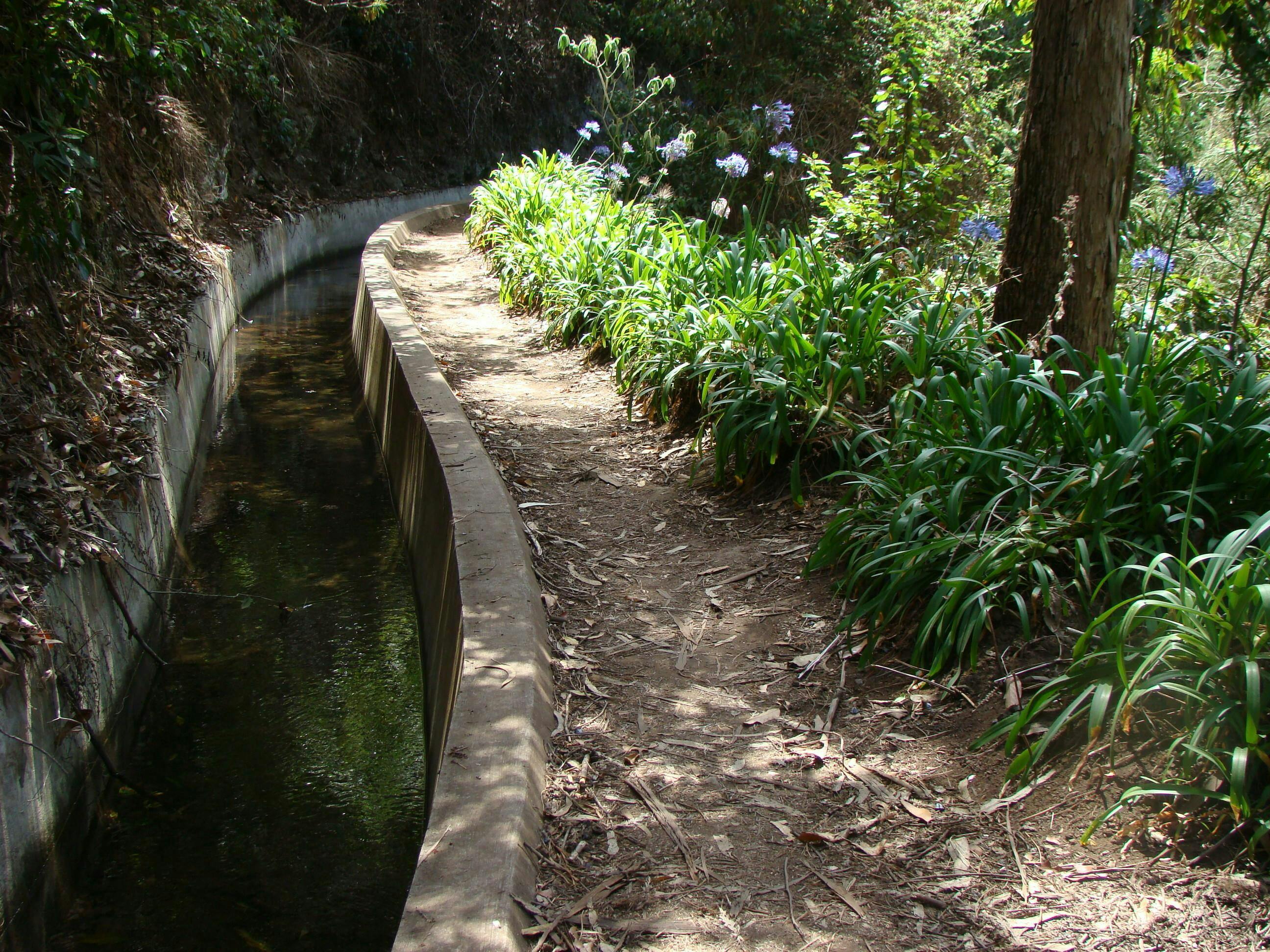 Randonnée pédestre sur le sentier de Levada Serra do Faial, à Paradise Valley