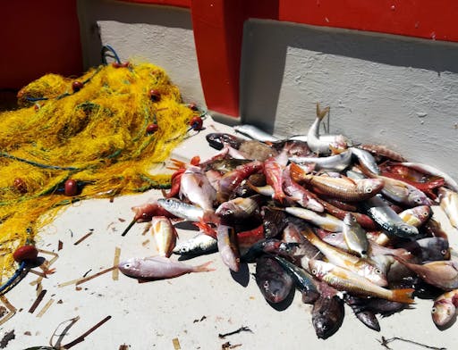 Fishing Boat Trip