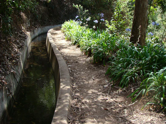 Paradise Valley Walk