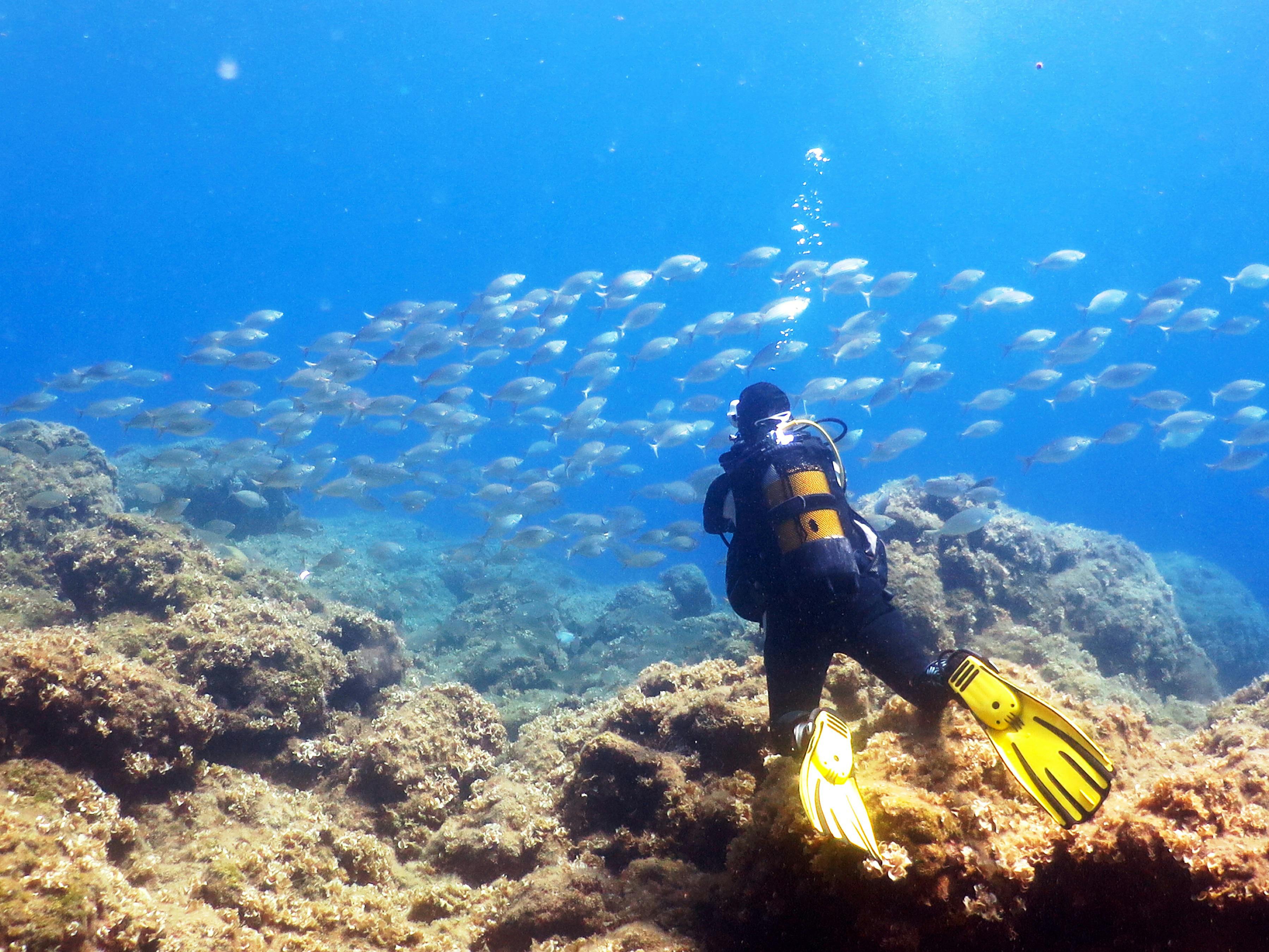 Scuba Diving