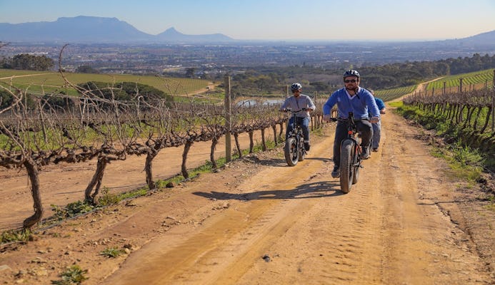 Cape Town: Winelands e-bike tour